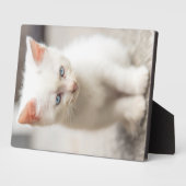 White Kitten Fotoplaat (Zijkant)