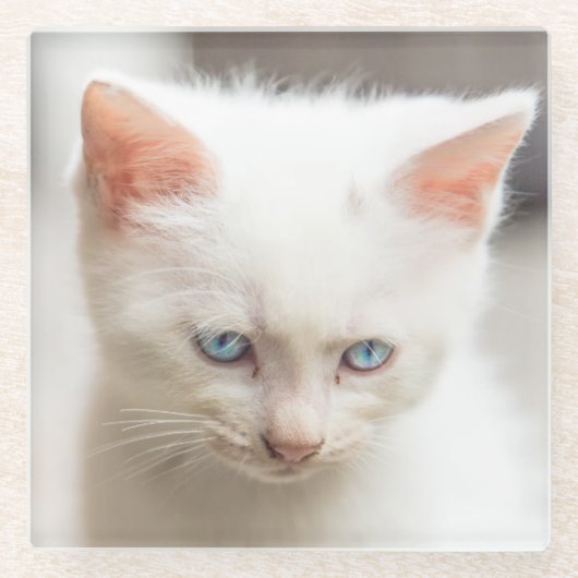 White Kitten Glazen Onderzetter (Voorkant)