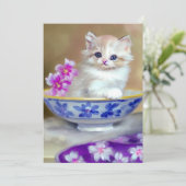  White Kitten Illustratie Aankondiging (Staand voorkant)