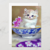  White Kitten Illustratie Aankondiging (Voorkant / Achterkant)
