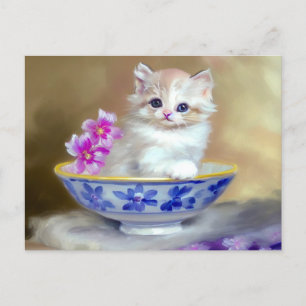  White Kitten Illustratie Briefkaart
