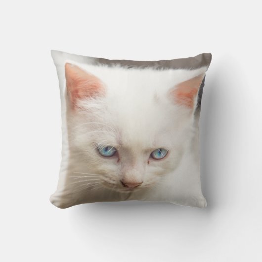 White Kitten Kussen (Voorkant)