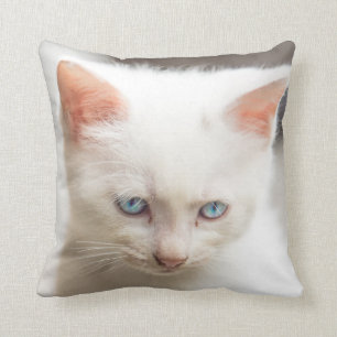 White Kitten Kussen