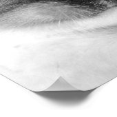 White Kitten met blauwe ogen Poster (Hoek)