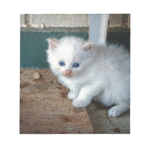 White Kitten Notitieblok