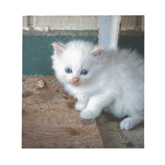 White Kitten Notitieblok (Voorkant)