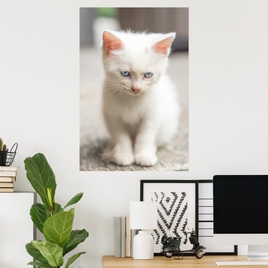 White Kitten Poster (Thuiskantoor)