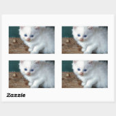 White Kitten Rechthoekige Sticker (Vel)