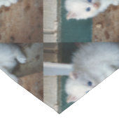 White Kitten Tafelkleed (Gekanteld)