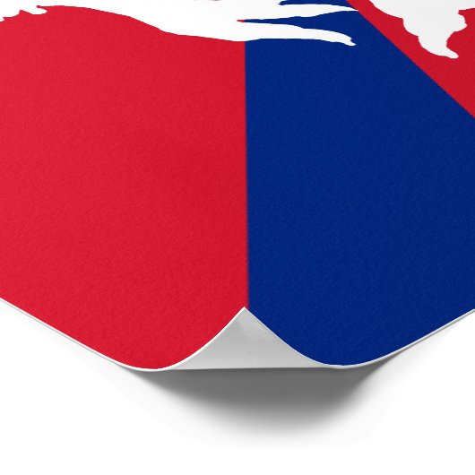 White Kiwi Poster (Hoek)