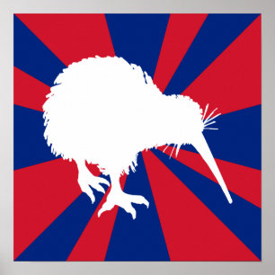 White Kiwi Poster