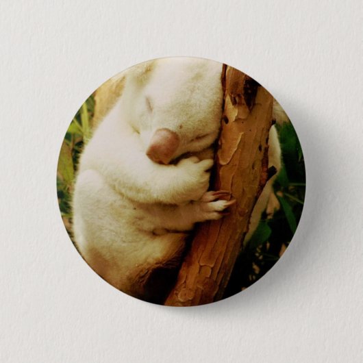White Koala Beer Button (Voorkant)