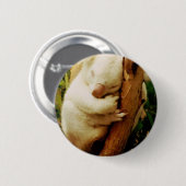 White Koala Beer Button (Voorkant /achterkant)