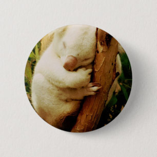 White Koala Beer Button