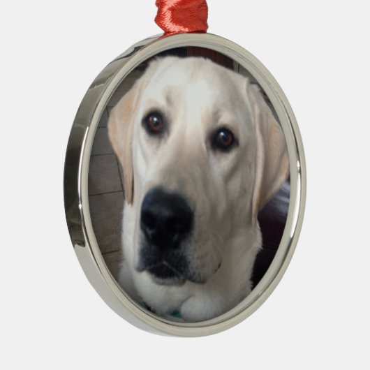 White Lab Metalen Ornament (Rechts)