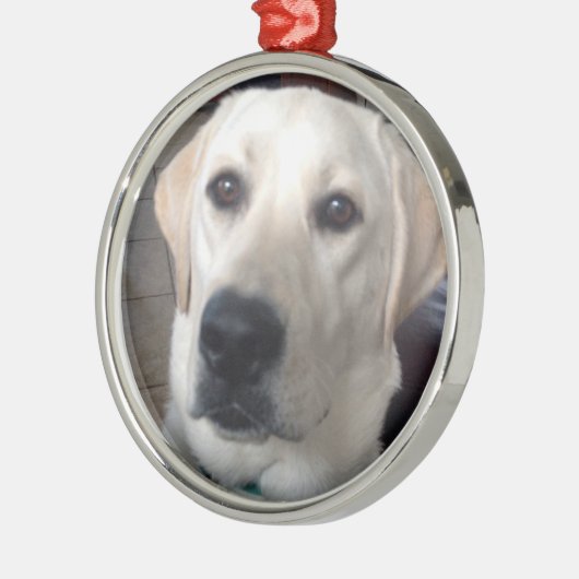 White Lab Metalen Ornament (Links)