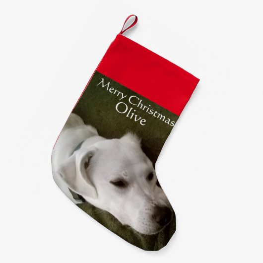 White Lab Mix Hond Schattig Kleine Kerstsok (Voorkant (Hangend))