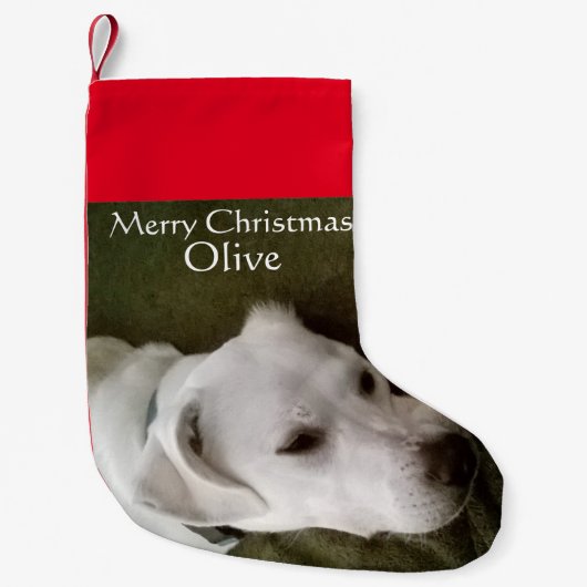 White Lab Mix Hond Schattig Kleine Kerstsok (Voorkant)