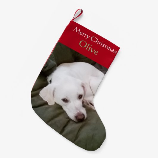 White Lab Mix Hond Schattige Kleine Kerstsok (Voorkant (Hangend))