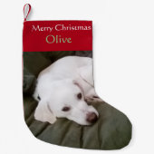 White Lab Mix Hond Schattige Kleine Kerstsok (Voorkant)