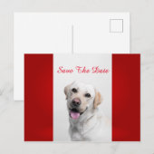 White Labrador Aankondigingskaart (Voorkant / Achterkant)