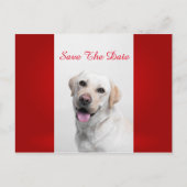 White Labrador Aankondigingskaart (Voorkant)