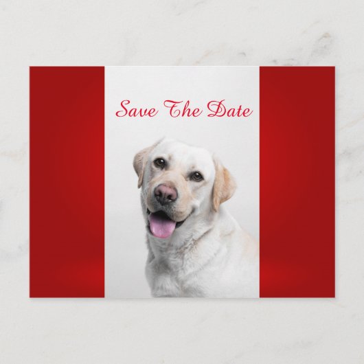 White Labrador Aankondigingskaart (Voorkant)