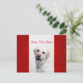 White Labrador Aankondigingskaart (Staand voorkant)