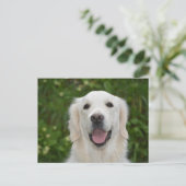 White Labrador Retriever Dog Briefkaart (Staand voorkant)