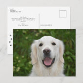 White Labrador Retriever Dog Briefkaart (Voorkant / Achterkant)