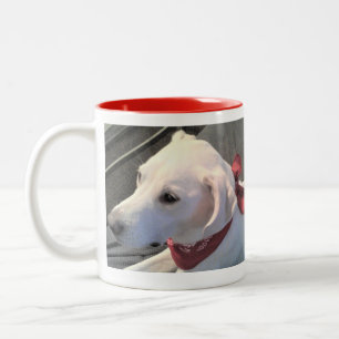 White Labrador Retriever Mix Dog Wearing Red Scarf Tweekleurige Koffiemok