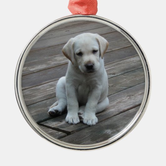 White Labrador Retriever Puppy Kerstannament Metalen Ornament (Voorkant)