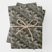 White Lace Pet Hydrangea Flowers Inpakpapier Vel (In situ)