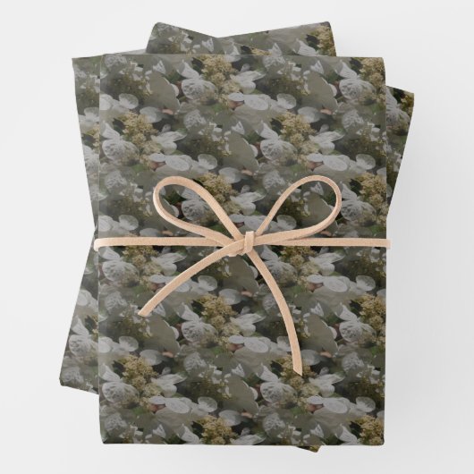 White Lace Pet Hydrangea Flowers Inpakpapier Vel (In situ)