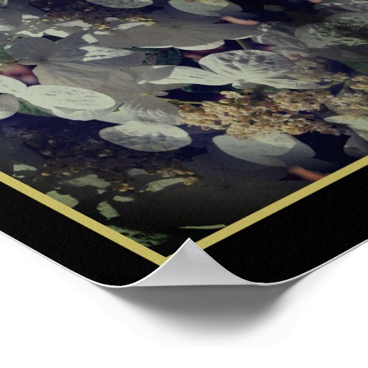 White Lacecap Hydrangea Floral Abstract Poster (Hoek)