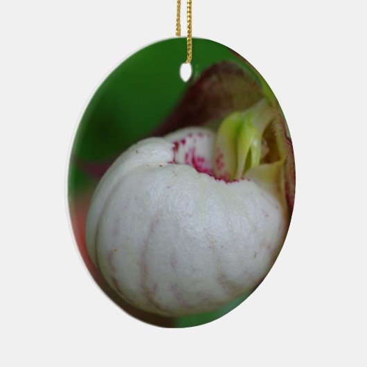 White Lady Slipper Flower Ornament (Rechts)
