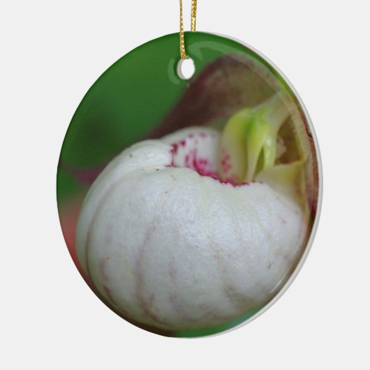 White Lady Slipper Flower Ornament (Links)