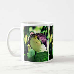 White Lady Slipper Orchid Flower Koffiemok