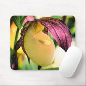 White Lady Slipper Orchid Flower Muismat (Met muis)