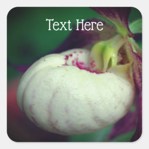 White Lady Slipper Orchid Flower Personalized Vierkante Sticker
