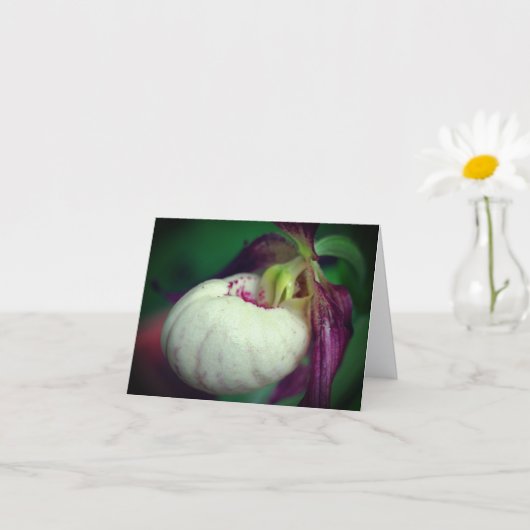 White Lady Slipper Orchid Flower Photography Note Kaart (Kleine Plant)