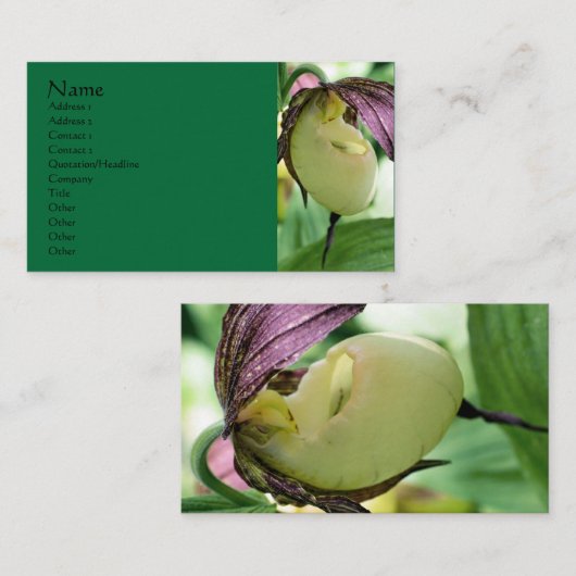 White Lady Slipper Orchid Flower Visitekaartje (Voorkant / Achterkant)