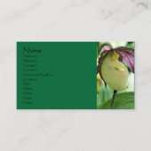 White Lady Slipper Orchid Flower Visitekaartje (Voorkant)