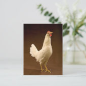 White Leghorn Chicken Briefkaart (Staand voorkant)