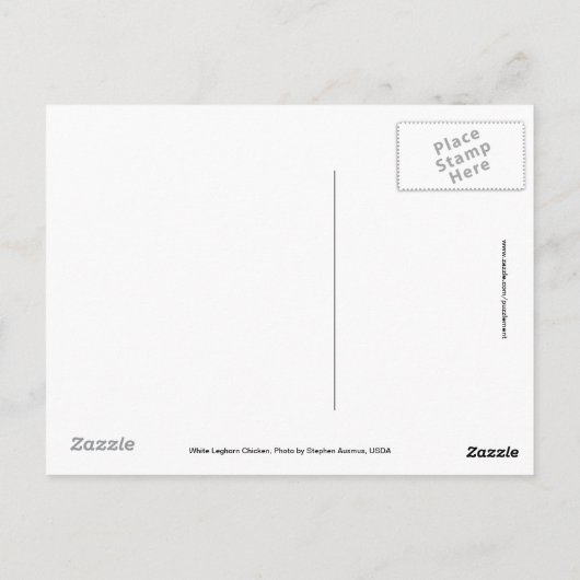 White Leghorn Chicken Briefkaart (Achterkant)