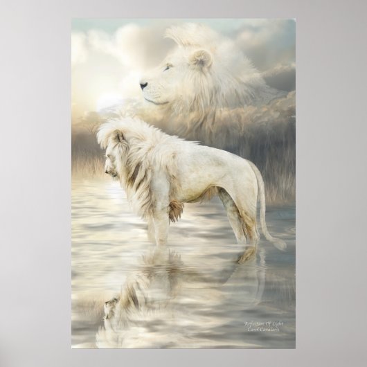 White leon - Reflectie of light Fine Art Poster (Voorkant)