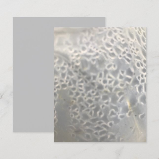 White Light Grey Bubbles Web Scrapbook Paper (Voorkant / Achterkant)