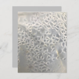 White Light Grey Bubbles Web Scrapbook Paper