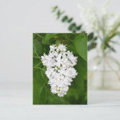 White lilacs print briefkaart (Staand voorkant)
