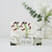 White Lilies_ Briefkaart (Staand voorkant)